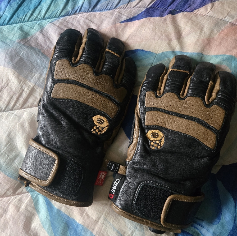 Mountain Hardwear Leather ski gloves